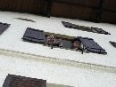 CIMG4356.resized_tn.jpg